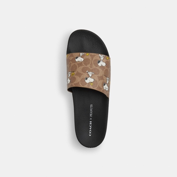 Coach X Peanuts Pool Slide In Signature Canvas With Snoopy Print - Picture 4 of 7